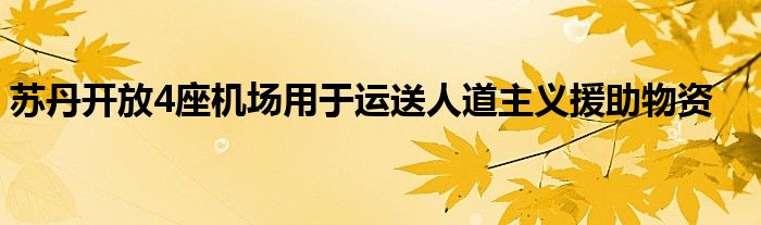 苏丹开放4座机场用于运送人道主义援助物资