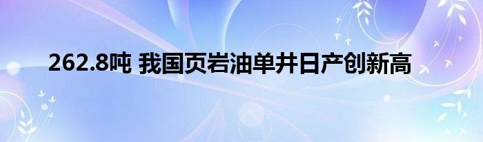 262.8吨 我国页岩油单井日产创新高