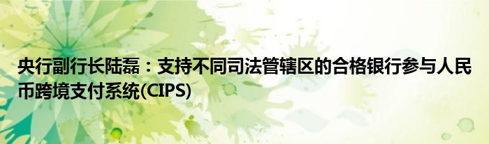 央行副行长陆磊：支持不同司法管辖区的合格银行参与人民币跨境支付系统(CIPS)