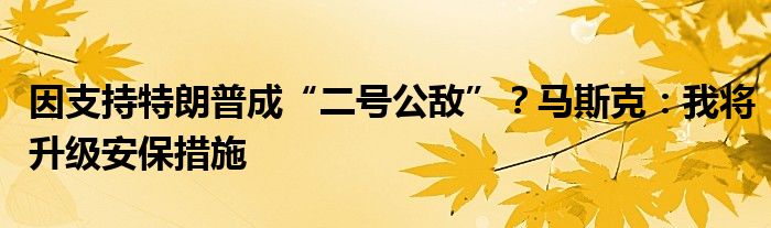 因支持特朗普成“二号公敌”？马斯克：我将升级安保措施