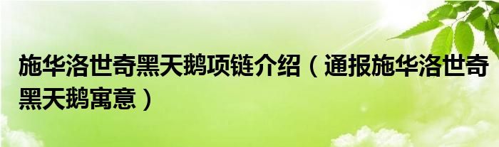 施华洛世奇黑天鹅项链介绍（通报施华洛世奇黑天鹅寓意）