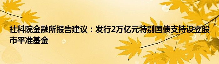 社科院金融所报告建议：发行2万亿元特别国债支持设立股市平准基金