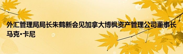 外汇管理局局长朱鹤新会见加拿大博枫资产管理公司董事长马克•卡尼