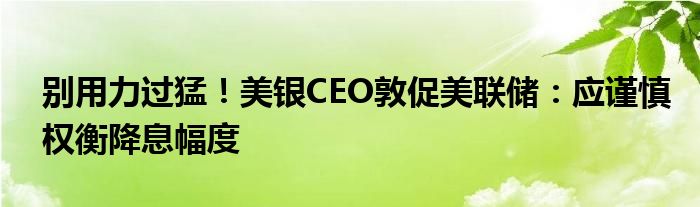 别用力过猛！美银CEO敦促美联储：应谨慎权衡降息幅度