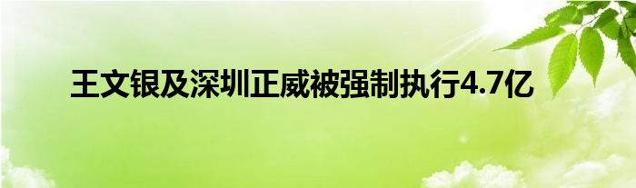 王文银及深圳正威被强制执行4.7亿