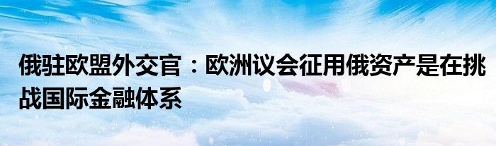 俄驻欧盟外交官：欧洲议会征用俄资产是在挑战国际金融体系