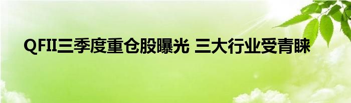 QFII三季度重仓股曝光 三大行业受青睐