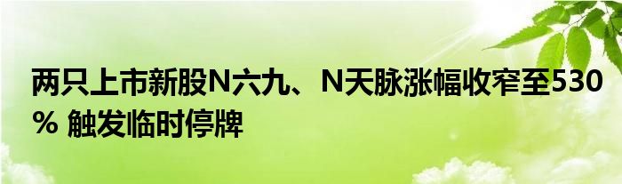 两只上市新股N六九、N天脉涨幅收窄至530% 触发临时停牌