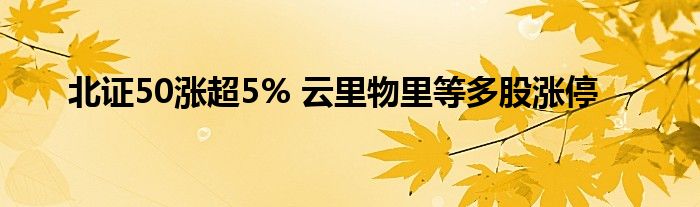 北证50涨超5% 云里物里等多股涨停