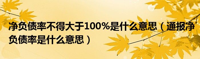 净负债率不得大于100%是什么意思（通报净负债率是什么意思）