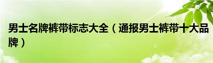 男士名牌裤带标志大全（通报男士裤带十大品牌）