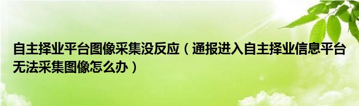 自主择业平台图像采集没反应（通报进入自主择业信息平台无法采集图像怎么办）