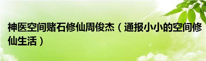 神医空间赌石修仙周俊杰（通报小小的空间修仙生活）