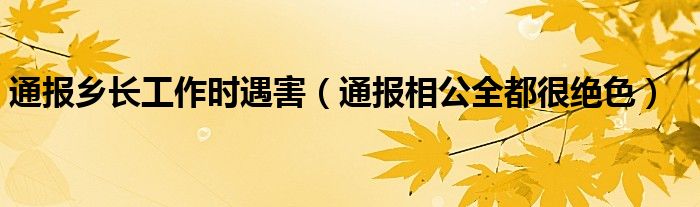 通报乡长工作时遇害（通报相公全都很绝色）