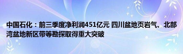 中国石化：前三季度净利润451亿元 四川盆地页岩气、北部湾盆地新区带等勘探取得重大突破