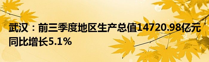 武汉：前三季度地区生产总值14720.98亿元 同比增长5.1%