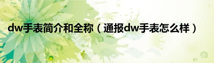 dw手表简介和全称（通报dw手表怎么样）