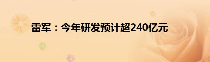 雷军：今年研发预计超240亿元