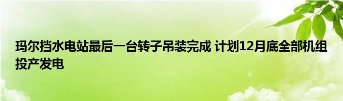 玛尔挡水电站最后一台转子吊装完成 计划12月底全部机组投产发电