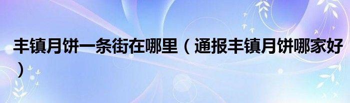 丰镇月饼一条街在哪里（通报丰镇月饼哪家好）