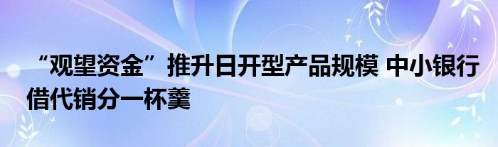 “观望资金”推升日开型产品规模 中小银行借代销分一杯羹