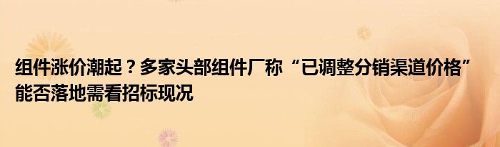 组件涨价潮起？多家头部组件厂称“已调整分销渠道价格” 能否落地需看招标现况