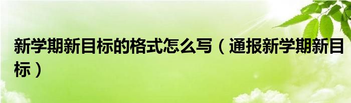 新学期新目标的格式怎么写（通报新学期新目标）