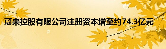 蔚来控股有限公司注册资本增至约74.3亿元