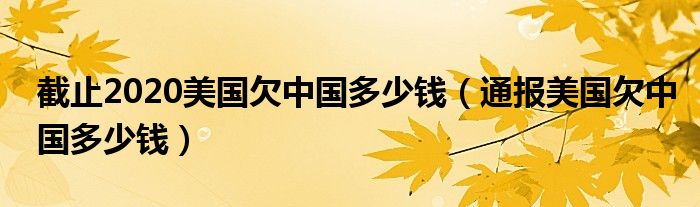 截止2020美国欠中国多少钱（通报美国欠中国多少钱）