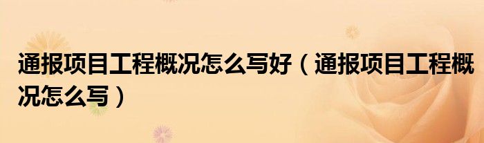 通报项目工程概况怎么写好（通报项目工程概况怎么写）