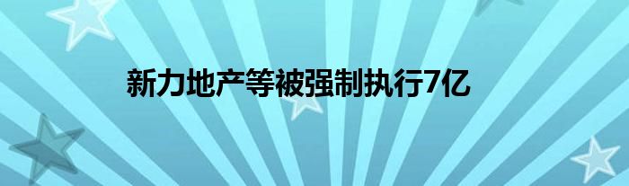 新力地产等被强制执行7亿