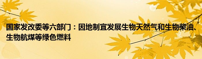 国家发改委等六部门：因地制宜发展生物天然气和生物柴油、生物航煤等绿色燃料