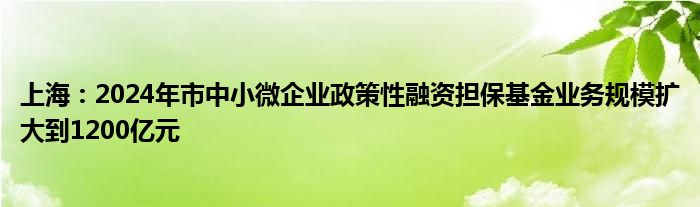 上海：2024年市中小微企业政策性融资担保基金业务规模扩大到1200亿元