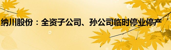 纳川股份：全资子公司、孙公司临时停业停产