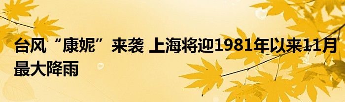 台风“康妮”来袭 上海将迎1981年以来11月最大降雨