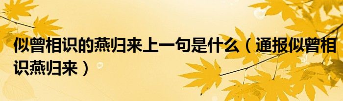 似曾相识的燕归来上一句是什么（通报似曾相识燕归来）