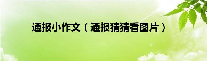 通报小作文（通报猜猜看图片）