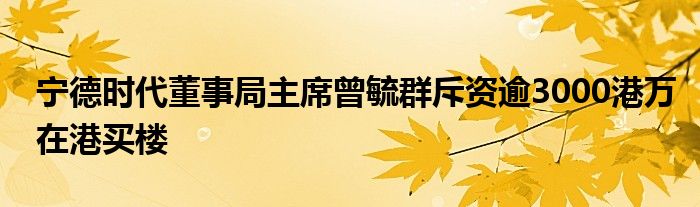 宁德时代董事局主席曾毓群斥资逾3000港万在港买楼