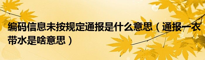 编码信息未按规定通报是什么意思（通报一衣带水是啥意思）