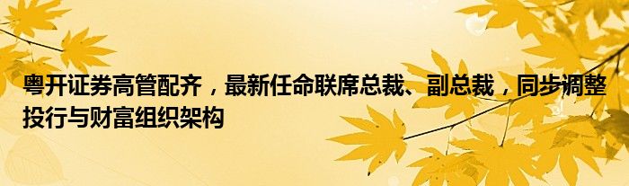 粤开证券高管配齐，最新任命联席总裁、副总裁，同步调整投行与财富组织架构