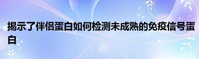 揭示了伴侣蛋白如何检测未成熟的免疫信号蛋白