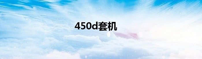 450d套机