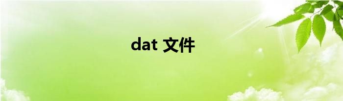 dat 文件