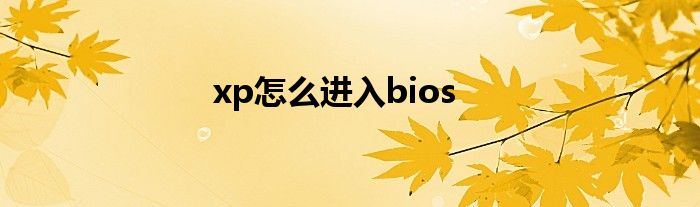 xp怎么进入bios