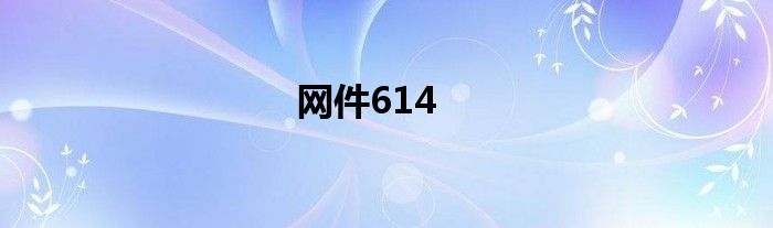 网件614