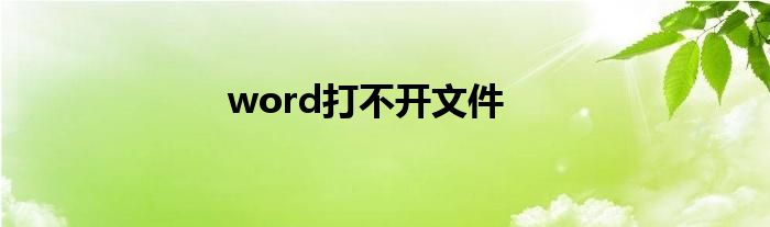 word打不开文件