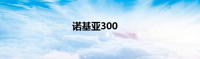 诺基亚300