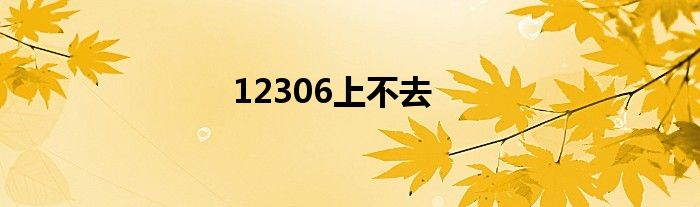 12306上不去