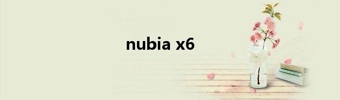 nubia x6