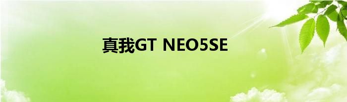 真我GT NEO5SE